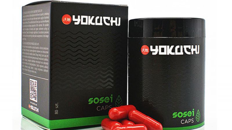 Yokuchi - nowa marka w świecie akwarystyki roślinnej
