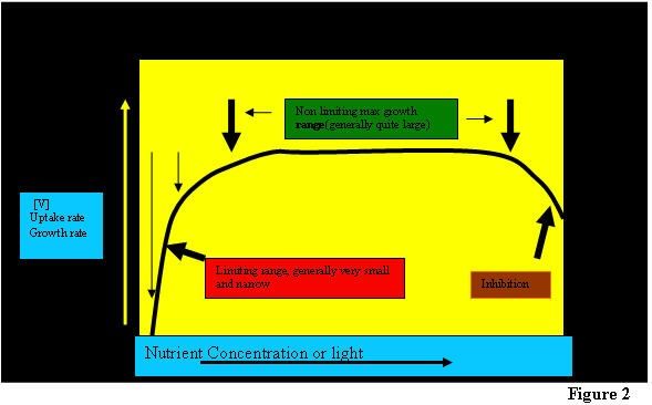 Estimative Index Toma Barra - tłumaczenie