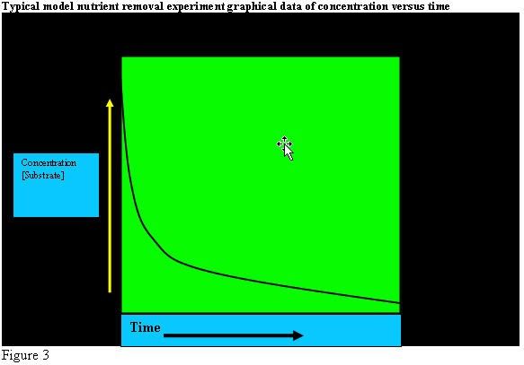 Estimative Index Toma Barra - tłumaczenie