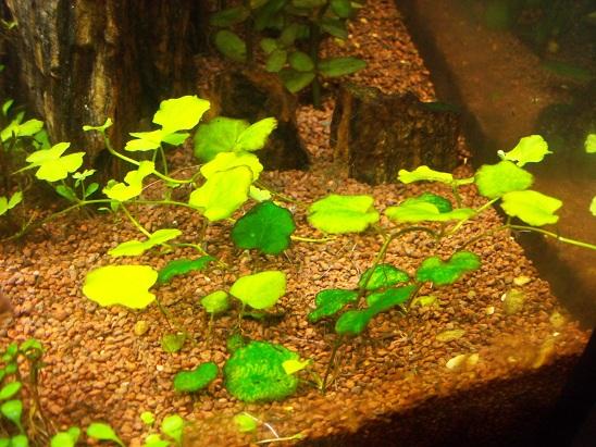 100_2198.JPG