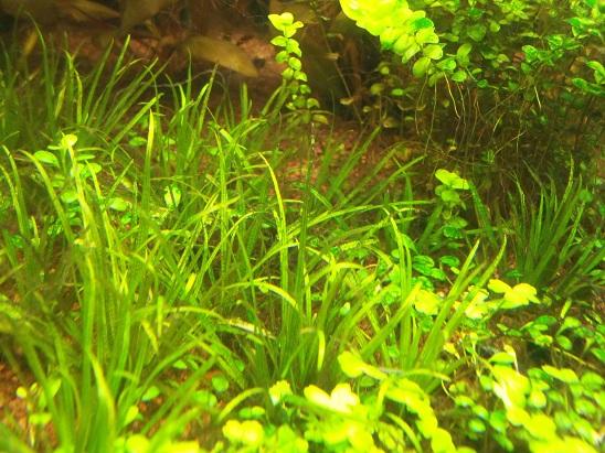 100_2199.JPG