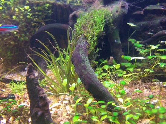 100_2214.JPG