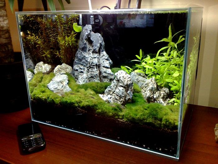 20111010215.jpg